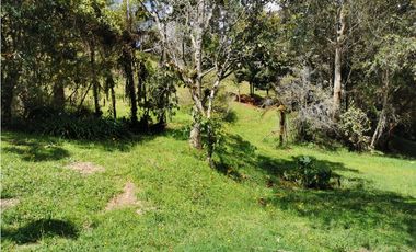 Venta de lote en el alto de las Palmas