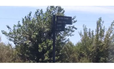 Ibarlucea: Calle 3 y Rivadavia, Barrio abierto Don Hector terreno en esquina de 477 m2, Santa Fe Argentina