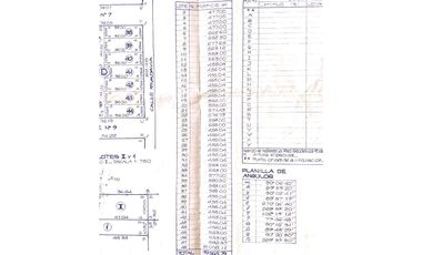 Ibarlucea: Calle 3 y Rivadavia, Barrio abierto Don Hector terreno en esquina de 477 m2, Santa Fe Argentina