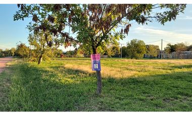 Ibarlucea: Calle 3 y Rivadavia, Barrio abierto Don Hector terreno en esquina de 477 m2, Santa Fe Argentina