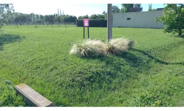 Ibarlucea: Calle 3 y Rivadavia, Barrio abierto Don Hector terreno en esquina de 477 m2, Santa Fe Argentina