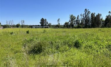 Parcela en Venta en ruta k-55 doña Isidora