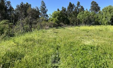 Parcela en Venta en ruta k-55 doña Isidora