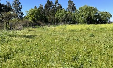 Parcela en Venta en ruta k-55 doña Isidora