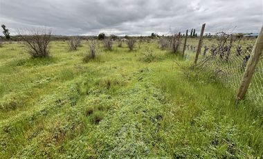 Parcela en Venta en Purapel