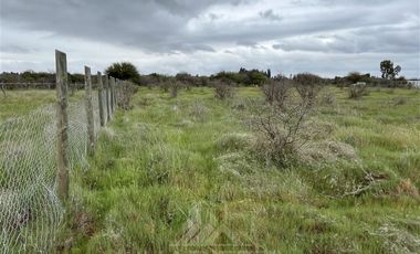 Parcela en Venta en Purapel