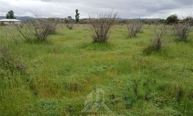 Parcela en Venta en Purapel