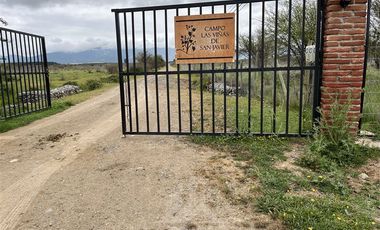 Parcela en Venta en Purapel