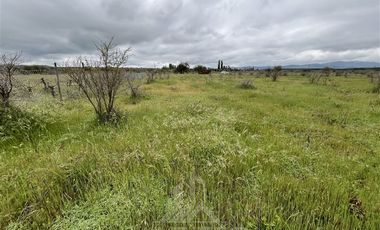 Parcela en Venta en Purapel