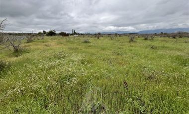 Parcela en Venta en Purapel