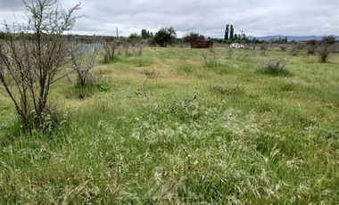 Parcela en Venta en Purapel