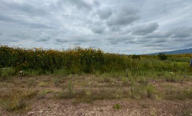 Terreno en Venta en Manantiales de Nopala, Nopala, Hidalgo.