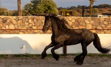 Terreno en Venta en Manantiales de Nopala, Nopala, Hidalgo.