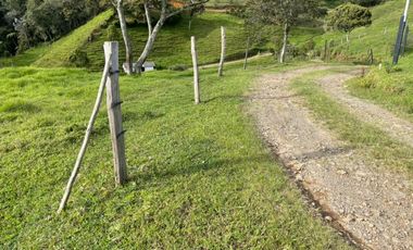 VENTA DE FINCA EN GUARNE