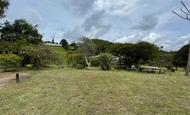 VENTA DE FINCA EN GUARNE