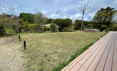 VENTA DE FINCA EN GUARNE