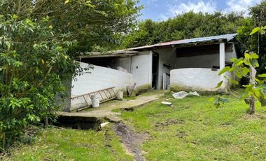 VENTA DE FINCA EN GUARNE
