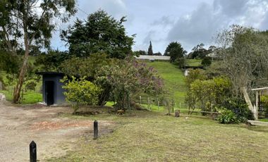 VENTA DE FINCA EN GUARNE
