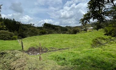 VENTA DE FINCA EN GUARNE