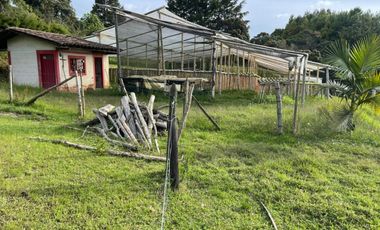 VENTA DE FINCA EN GUARNE