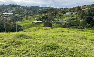 VENTA DE FINCA EN GUARNE