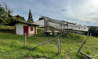 VENTA DE FINCA EN GUARNE