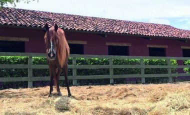 Venta de lote en Fairways, Buenaventura