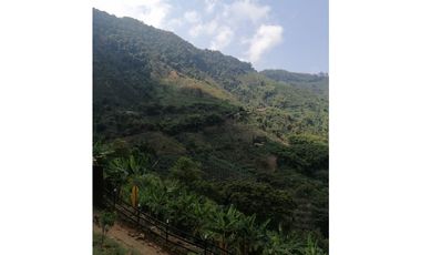 Venta Finca Buenavista Quindio COD: 3101216