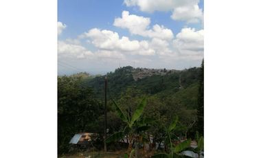 Venta Finca Buenavista Quindio COD: 3101216