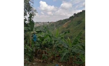 Venta Finca Buenavista Quindio COD: 3101216