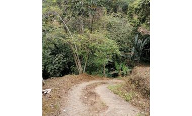 Venta Finca Buenavista Quindio COD: 3101216