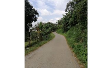 Venta Finca Buenavista Quindio COD: 3101216