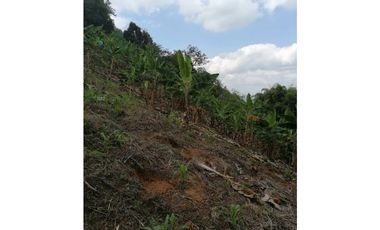 Venta Finca Buenavista Quindio COD: 3101216