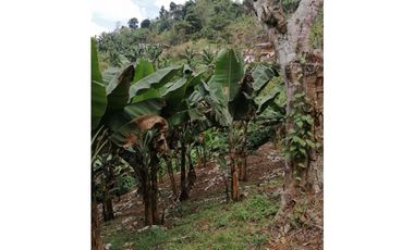 Venta Finca Buenavista Quindio COD: 3101216
