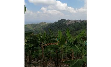 Venta Finca Buenavista Quindio COD: 3101216