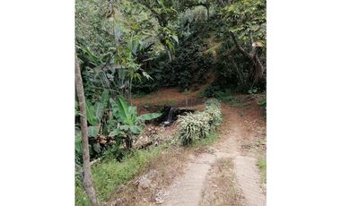 Venta Finca Buenavista Quindio COD: 3101216