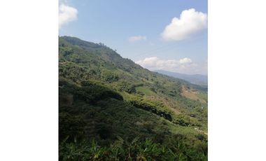 Venta Finca Buenavista Quindio COD: 3101216