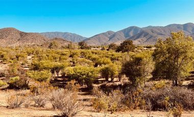 Parcela en Venta en Colliguay