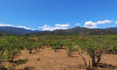 Parcela en Venta en Colliguay