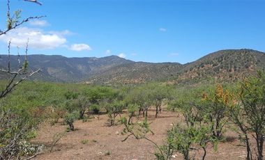 Parcela en Venta en Colliguay