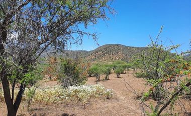 Parcela en Venta en Colliguay
