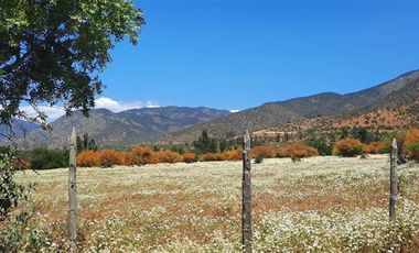 Parcela en Venta en Colliguay