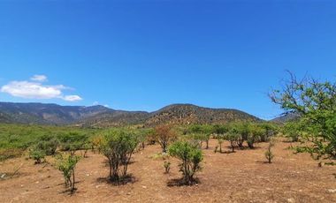 Parcela en Venta en Colliguay