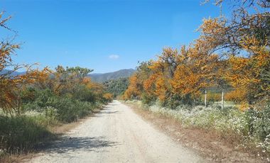 Parcela en Venta en Colliguay