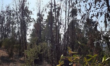Parcela en Venta en valle verdemar