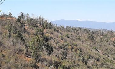 Parcela en Venta en valle verdemar