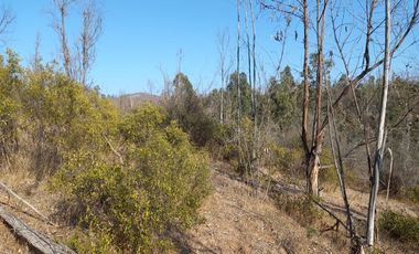 Parcela en Venta en valle verdemar