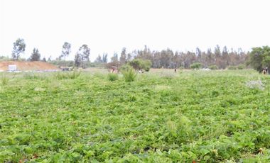 Parcela en Venta en Camino Colliguay & Ajial Valdivieso