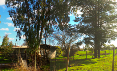 Parcela en Venta en Camino Colliguay & Ajial Valdivieso