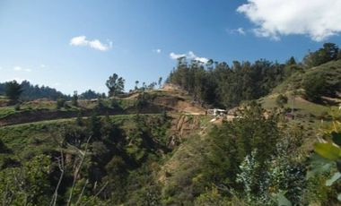 Parcela en Venta en Los Ruanos
